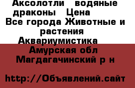 Аксолотли / водяные драконы › Цена ­ 500 - Все города Животные и растения » Аквариумистика   . Амурская обл.,Магдагачинский р-н